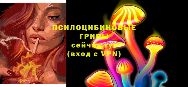 кристаллы Корсаков