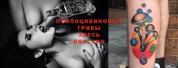 кристаллы Корсаков