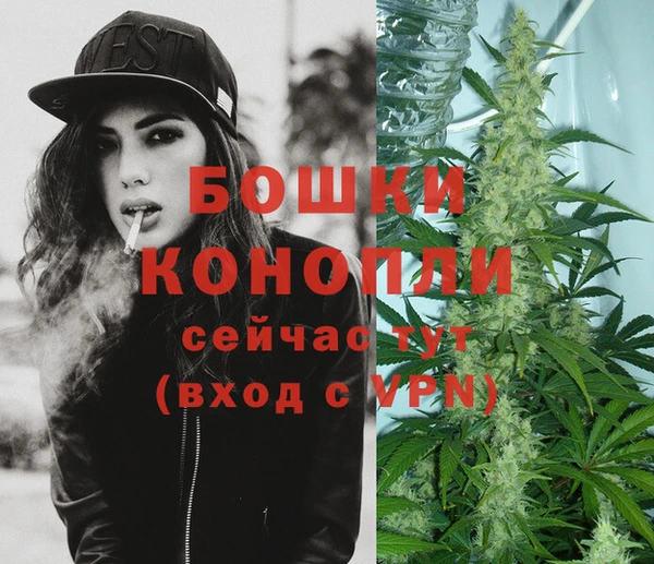 прущий лед Костерёво