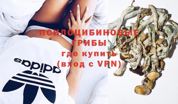 прущий лед Костерёво