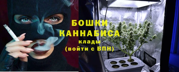 прущий лед Костерёво